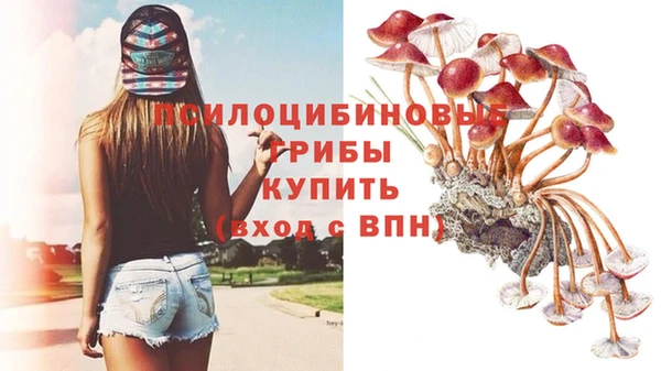 2c-b Михайловск