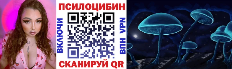 магазин  наркотиков  Назрань  Галлюциногенные грибы прущие грибы 